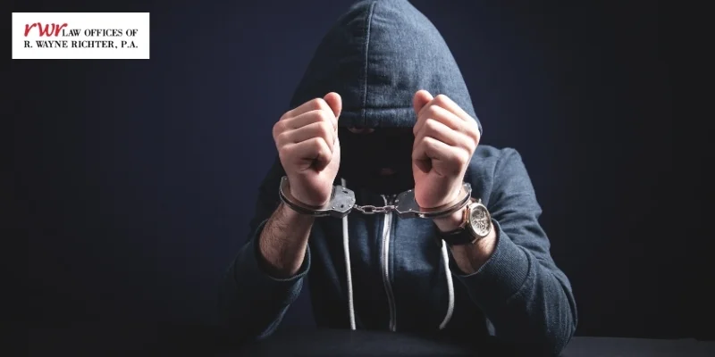 Palm City Child Pornography Lawyer-image